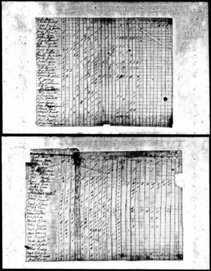 1820 Federal Census - Georgia, Camden County, St Marys - Page .jpg