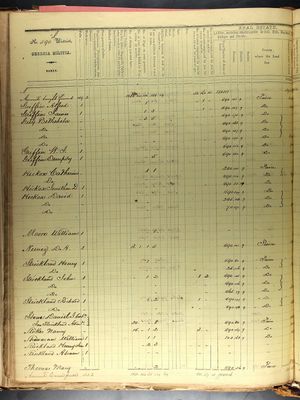 Georgia, Property Tax Digests, 1793-1893 (1864).jpg