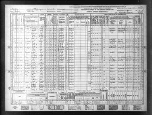 1940 Federal Census including Irwin Family.jpg