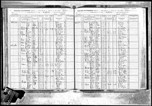 New York State Census 1915 including James Family.jpg