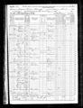 1870 Federal Census - Illinois, Ford County, Lyman.jpg