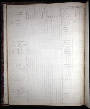 Georgia, Property Tax Digests, 1793-1893 (1873-1877).jpg