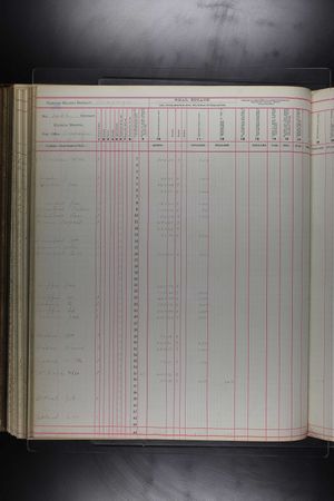 Georgia, Property Tax Digests, 1793-1892 (1890).jpg