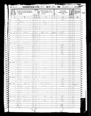 1850 Federal Census - Georgia, Ware County, 89th Subdivision - page 235 (written).jpg
