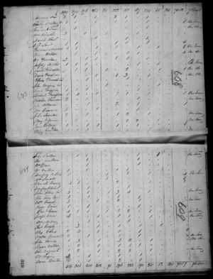 United States Census, 1810 South Carolina, Colleton, page 608-609.jpg