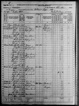 Elizabeth Mathews in household of John H Mathews, (United States Census, 1870).jpg