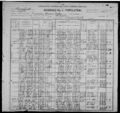 1900 United States Census - King Family