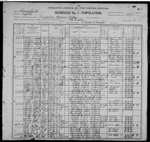 1900 United States Census - King Family.jpg