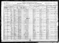 1920 Federal Census including Andrew Birkett