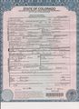 Death Certificate - William Oliver James