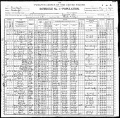 1900 Federal Census including Titus Family.jpg