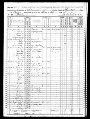 1870 United States Federal Census - Georgia, Pierce, Subdivision 100.jpg