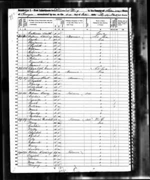 1850 Federal Census - Georgia, Camden County, 9th Subdivision - page 799 (written).jpg